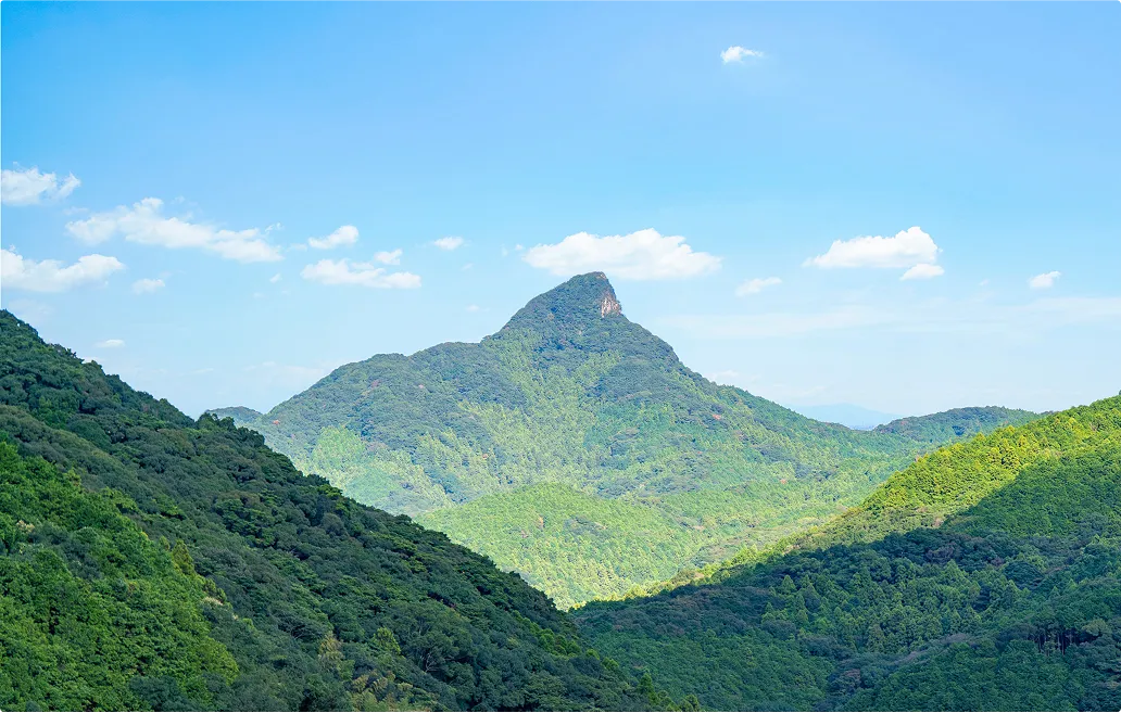 雄大な虚空蔵山の遠景