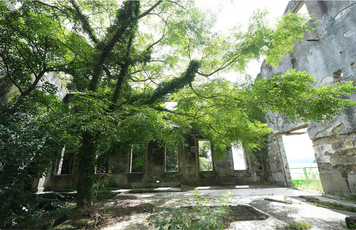 片島魚雷発射試験場跡の神秘的な自然との共生の様子